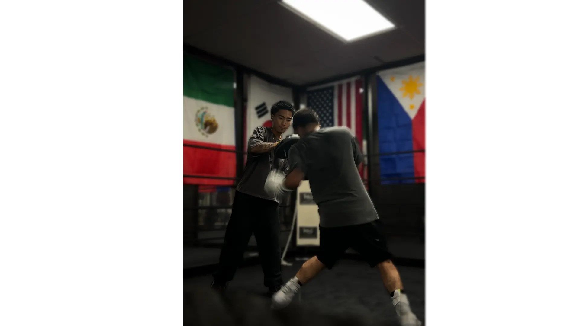 S.E Training —